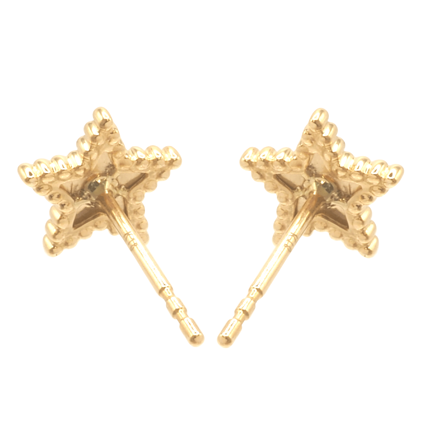 Bullion Star Earring