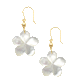 Plumeria White Shell Earring